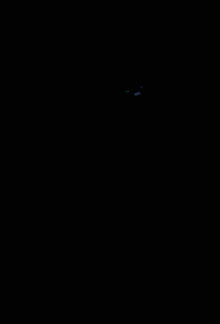 panther.gif (44313 octets)